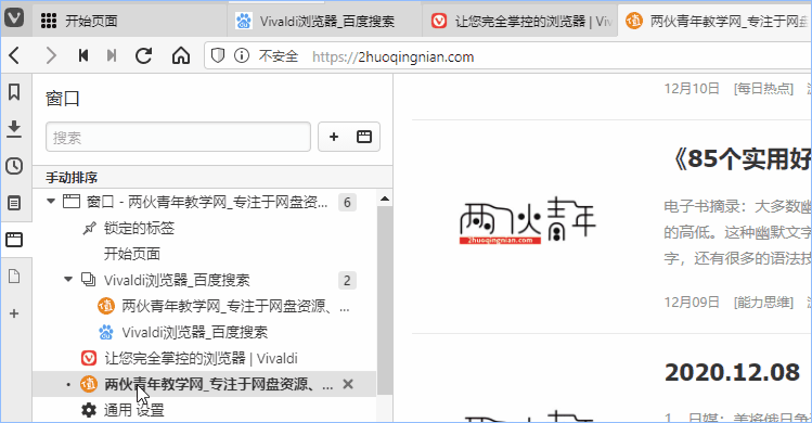 为了再次写这款Vivaldi浏览器，断更了几天，今天必须吹爆！_经验之谈_两伙青年